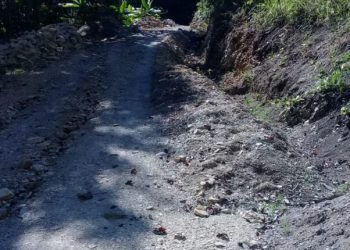 Pekerjaan Jalan Telan Anggaran Rp 1 M, Kades Haunonbenak Akui Semua Atas Perintah Pendamping