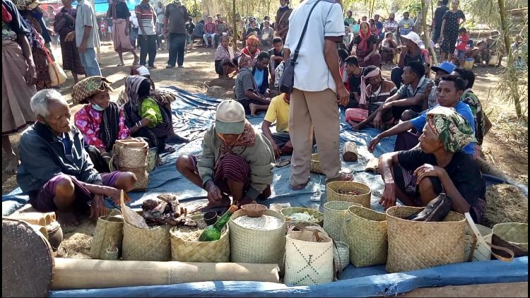 Ritual Beda Ramut yang dilaksanakan masyarakat etnis Boru Kedang, Kecamatan Wulanggitaang, Kabupaten Flores Timur (Foto : BentaraNet/Redem Welan)