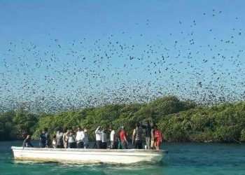 Bukan Hanya Pulau Pasir Putih Meko, Flotim Juga Punya Pulau Unik Lain