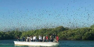 Bukan Hanya Pulau Pasir Putih Meko, Flotim Juga Punya Pulau Unik Lain