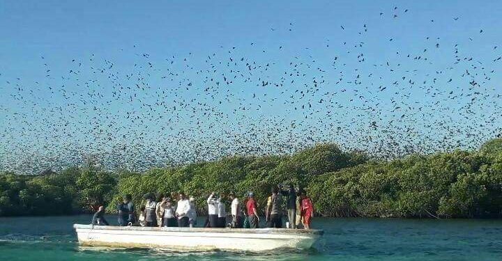 Bukan Hanya Pulau Pasir Putih Meko, Flotim Juga Punya Pulau Unik Lain