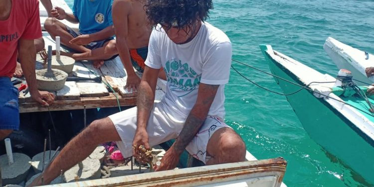 Taman Daun Mulai Rutin Lestarikan Laut Dengan Transplantasi Terumbu Karang