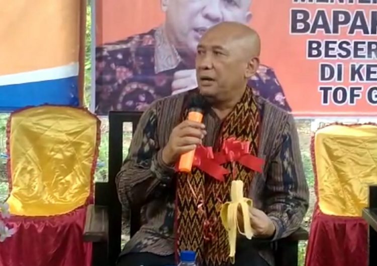 Menteri Koperasi dan UKM, Teten Masduki mencicipi pisang beranga hasil pertanian Bumdes Tilang, Kabupaten Sikka / Foto : BentaraNet