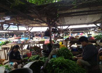 Pedagang TPI Lewoleba Nilai Kasat Pol PP Tidak Bertanggungjawab Soal Penertiban