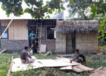 Penuhi Target Pemda Flotim, Relawan Peduli Adonara Renovasi Rumah Sementara Pengungsi