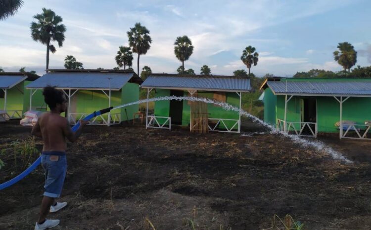 Koordinator Relawan Taman Daun, John S J Batafor menyiram halaman rumah hunian sementara (huntara) penyintas banjir bandang dan longsor yang berada di perkebunan warga, tidak jauh dari translokasi Waisesa. Huntara ini dibangun Komunitas Taman Daun untuk para penyintas sebelum mereka menempati rumah di perumahan relokasi yang dibangun pemerintah / Foto : BentaraNet