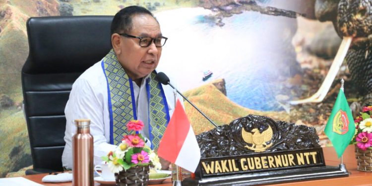 Terkait Pembangunan PLTP di Flores, Wagub Ajak Pihak PLN Langsung Turun ke Lapangan