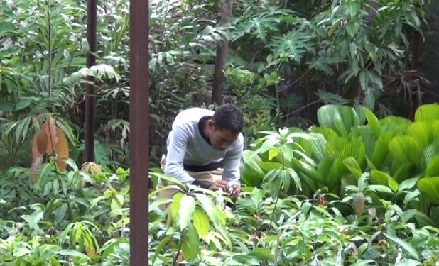 Linus Liarian Bertekad Hijaukan Lembata Lewat Budidaya Anakan Pohon