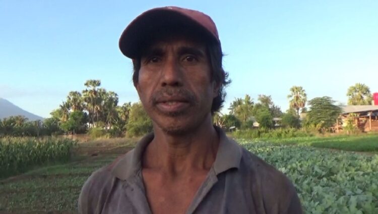 Syamsudin Muhammad Saleh, petani sayur di Lewoleba / Foto : BentaraNet