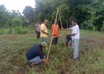 Pertanian Cerdas Iklim Jadi Solusi Atas Dampak Perubahan Iklim