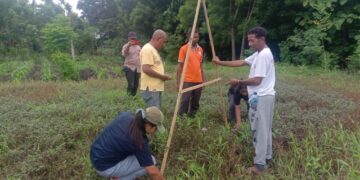 Pertanian Cerdas Iklim Jadi Solusi Atas Dampak Perubahan Iklim