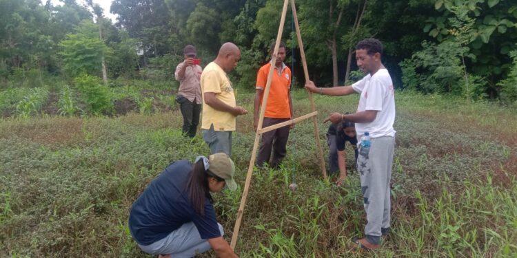 Pertanian Cerdas Iklim Jadi Solusi Atas Dampak Perubahan Iklim
