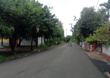 Semua Proyek PEN Belum Kantongi Persetujuan Lingkungan