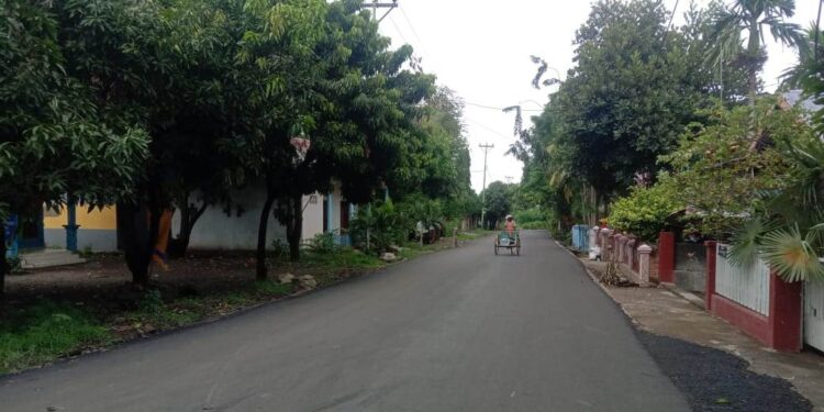 Semua Proyek PEN Belum Kantongi Persetujuan Lingkungan