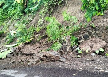 Masih Dalam Masa Pemeliharaan, Talud Ruas Jalan Waiwerang – Lite di Adonara Jebol