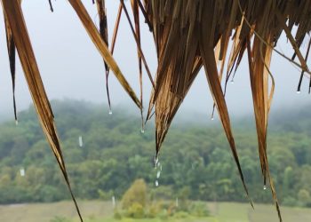 BMKG ingatkan potensi hujan dan angin kencang di NTT hingga 25 Februari