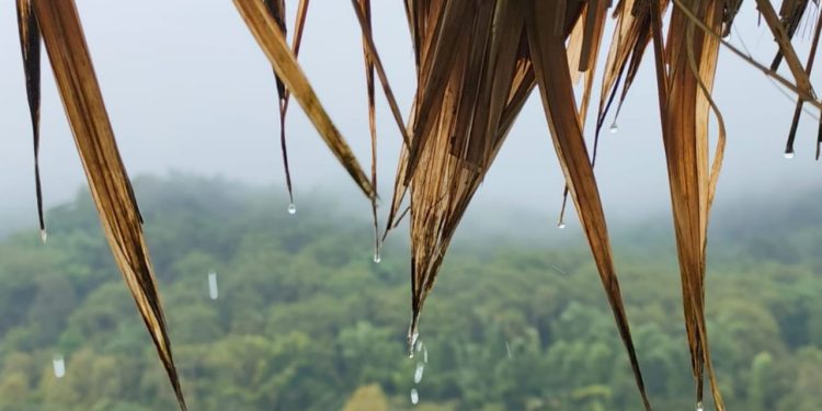 BMKG ingatkan potensi hujan dan angin kencang di NTT hingga 25 Februari