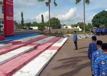 Dana Transfer ke Daerah 2026 Dipangkas, Sekda Lembata Paskalis : Pentingnya Efisiensi di Setiap Organisasi Perangkat Daerah