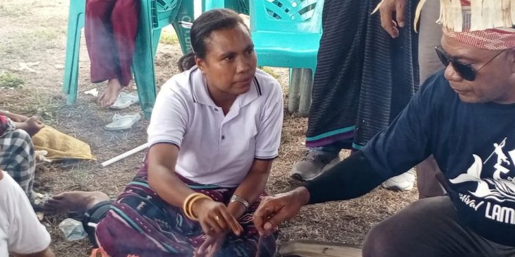 Gebyar Titi Jagung Lembata: Bukan Sekadar Lomba, Tapi Panggilan Jiwa untuk Bangun Daerah!