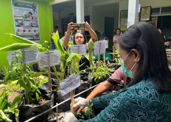 Taman TOGA Edukatif Puskesmas Lewoleba Diluncurkan, Perkuat Paradigma Sehat Lewat Inovasi SEHATI LOKAL