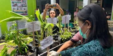 Taman TOGA Edukatif Puskesmas Lewoleba Diluncurkan, Perkuat Paradigma Sehat Lewat Inovasi SEHATI LOKAL